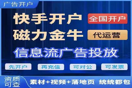 百度SEO推广策略：如何快速提升网站排名？——案例详解